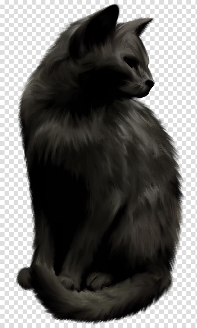 Norwegian Forest cat Nebelung Whiskers Black cat Domestic short-haired cat, others transparent background PNG clipart
