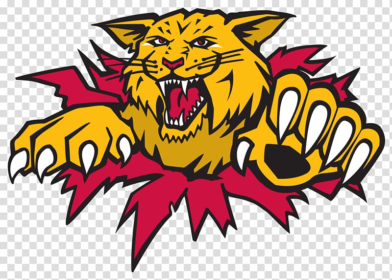 yellow and red animal logo, Moncton Wildcats Logo transparent background PNG clipart