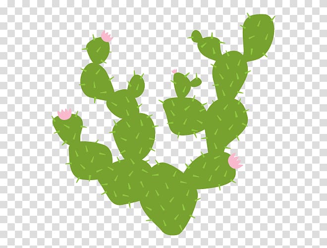 Wall decal Sticker Cactaceae, cactus flower transparent background PNG clipart
