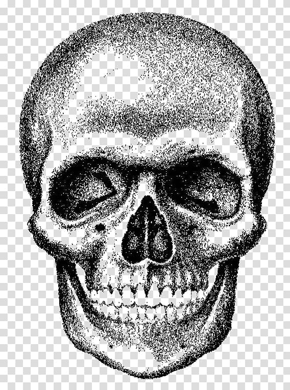 Skull , skull transparent background PNG clipart