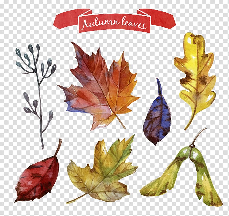 Autumn leaves, Autumn leaves wreath material transparent background PNG clipart
