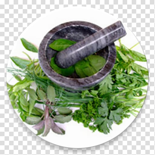 Herbalism Alternative Health Services Medicine Ayurveda, ayurvedic medicine transparent background PNG clipart