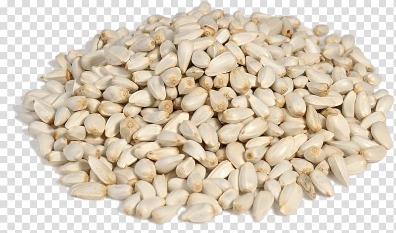 Safflower Sunflower seed Guizotia abyssinica Fodder, others transparent background PNG clipart