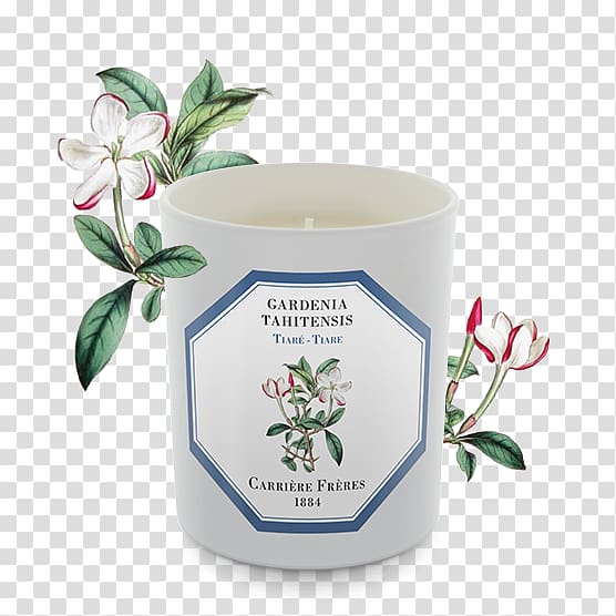 Gardenia taitensis Candle Perfume Orange blossom Grasse, Candle transparent background PNG clipart