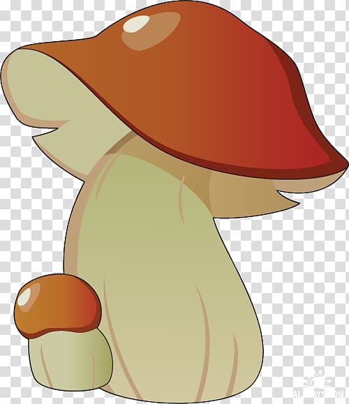 Fungus Mushroom , mushroom transparent background PNG clipart