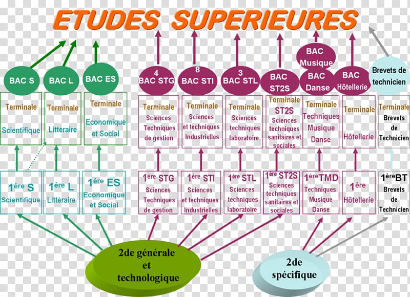 Après le bac S: bien choisir pour réussir Seconde générale et technologique Career counseling Baccalauréat, employe transparent background PNG clipart