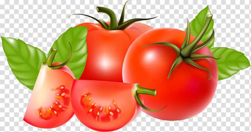 Cherry tomato Ketchup Tomato sauce Vegetable, Vegetable Tomato transparent background PNG clipart