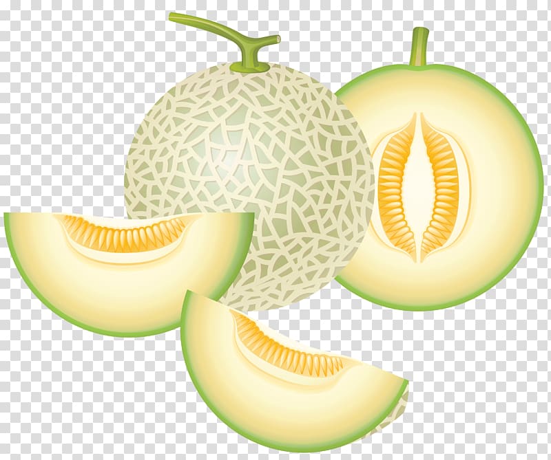 green melon , Honeydew Cantaloupe Melon , Cantaloupe Melon transparent background PNG clipart