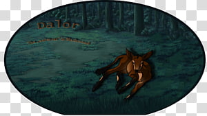 Horse Turquoise, horse transparent background PNG clipart thumbnail