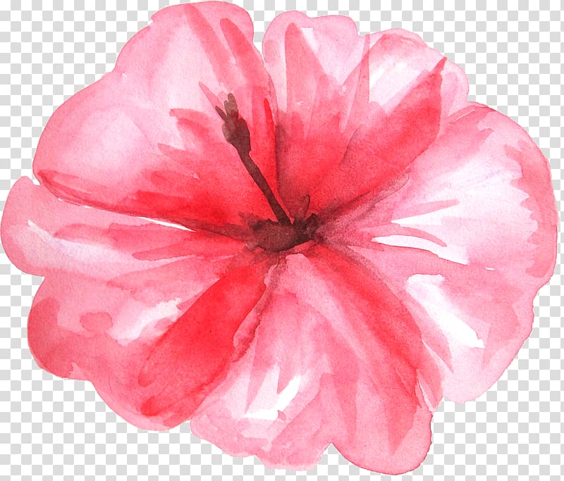 pink hibiscus flower illustration, Watercolor painting , Fresh watercolor hot plant flowers transparent background PNG clipart