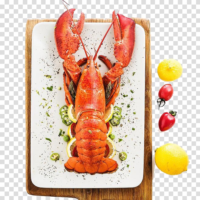 Baijiu Wine Erguotou Lobster Palinurus, lobster transparent background PNG clipart