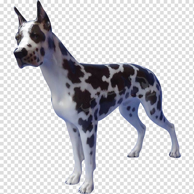 Great Dane Dog breed Non-sporting group Breed group (dog) Snout, others transparent background PNG clipart