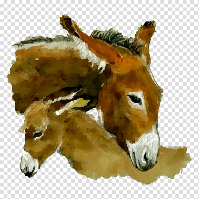 Donkey Watercolor painting, Hand painted watercolor donkey head transparent background PNG clipart