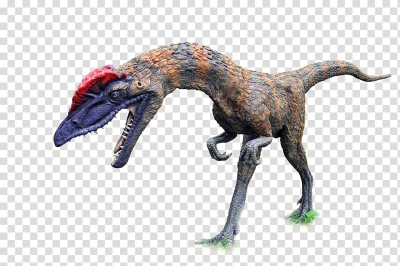 Tyrannosaurus Spinosaurus Velociraptor Dinosaurs Pack Suchomimus, dinosaur transparent background PNG clipart