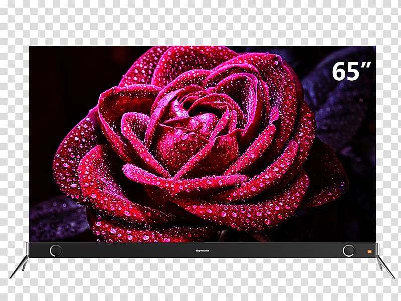 Flower Desktop .xchng , Skyworth 65-inch LCD TV transparent background PNG clipart