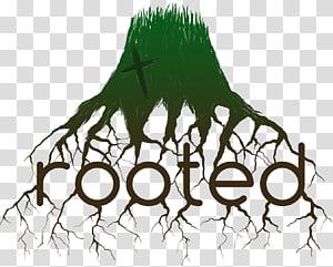 Line , design transparent background PNG clipart thumbnail