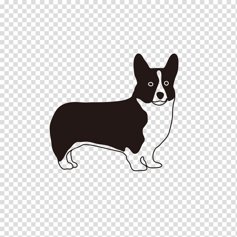Chihuahua Pembroke Welsh Corgi Puppy Companion dog Dog breed, puppy transparent background PNG clipart