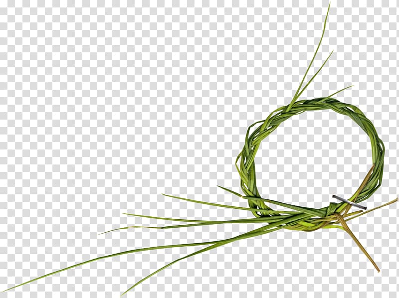 Green, Grass ring transparent background PNG clipart