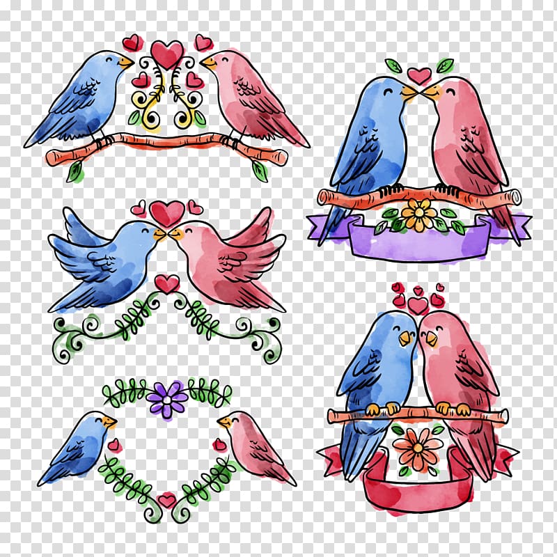 Rosy-faced lovebird , Collection Love birds transparent background PNG clipart