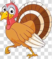 brown turkey illustration, Turkey Cartoon transparent background PNG clipart