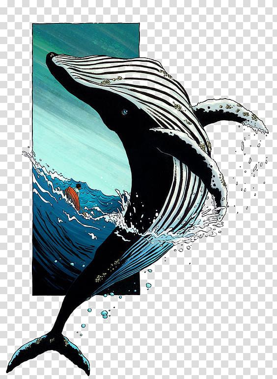Killer Whale - MNaitoDesigns - Keeping it real, one drawing at a time.