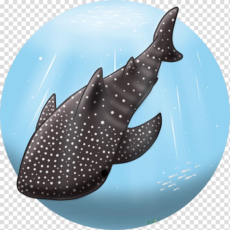 Shark Marine biology Dolphin, shark transparent background PNG clipart