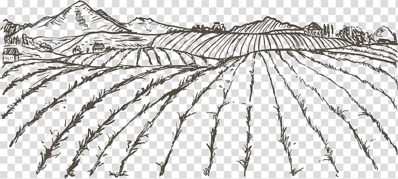 farm illustration, Agriculture Farmer Drawing, Sketch field transparent background PNG clipart