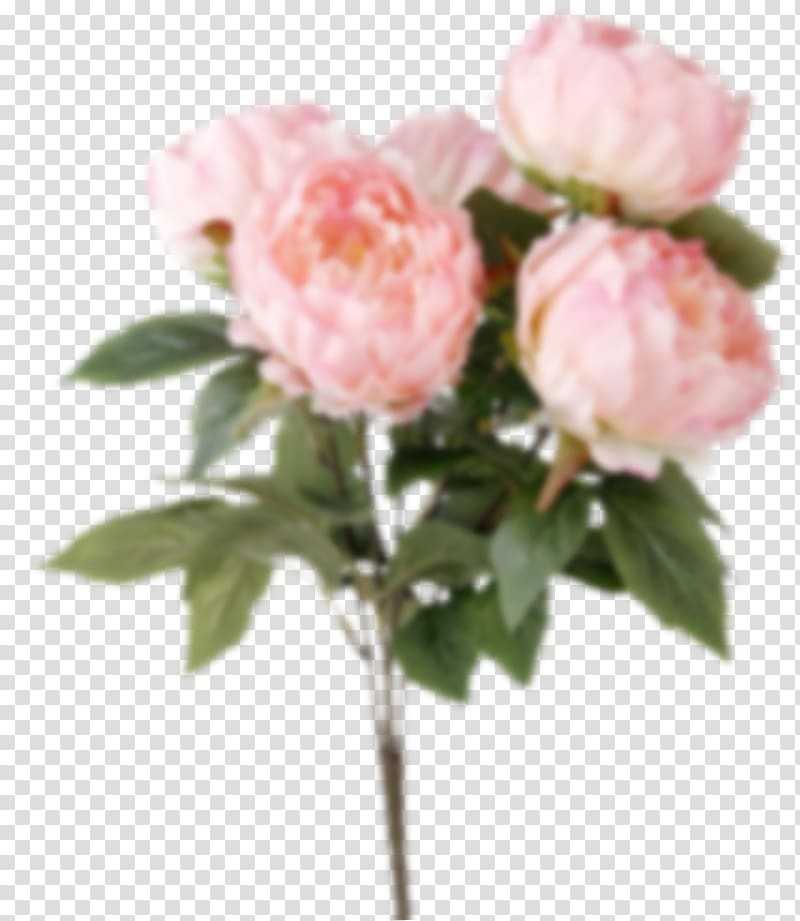Garden roses Peony Flower bouquet Silk, peony transparent background PNG clipart