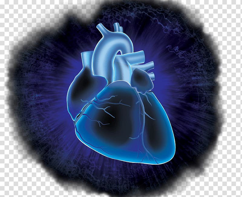 Circulatory system Cardiovascular Research Heart Desktop Cardiovascular disease, heart transparent background PNG clipart