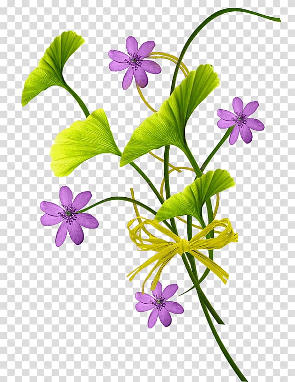 Flower , flower transparent background PNG clipart