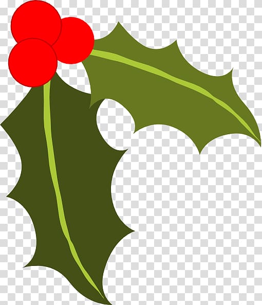 Common holly Berry , Holly Leaves transparent background PNG clipart