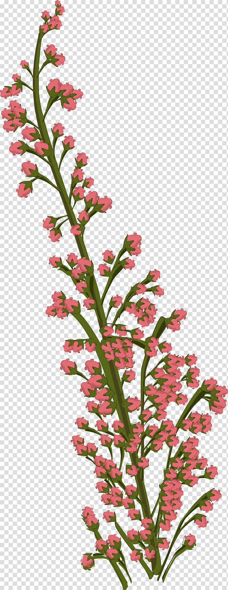 Drawing Tropical Flowers Cut flowers, flower transparent background PNG clipart