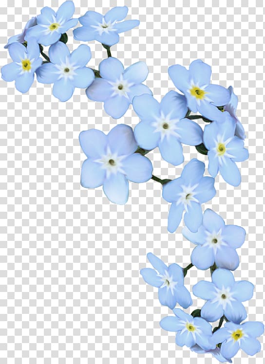 Scorpion grasses Blue Artificial flower Blume, круги transparent background PNG clipart
