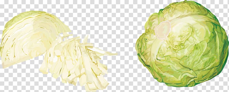 Red cabbage Cauliflower Vegetable, Cabbage vegetables transparent background PNG clipart