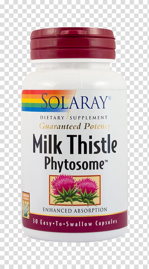 Dietary supplement Milk thistle Capsule Phytosome Silibinin, Milk thistle transparent background PNG clipart