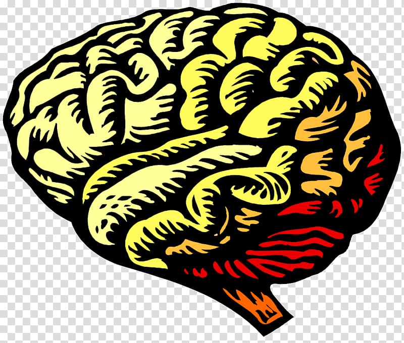 Brain Neuroscience Drawing , saliva transparent background PNG clipart
