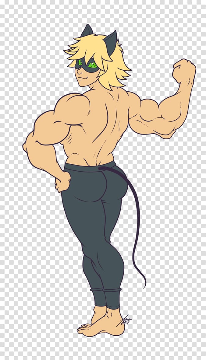 Adrien Agreste Muscle hypertrophy Homo sapiens Biceps, muscular man transparent background PNG clipart