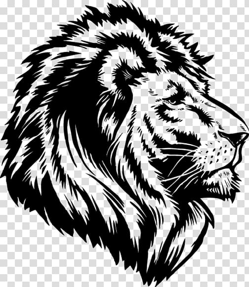 Lion's roar Drawing Cat, lion transparent background PNG clipart