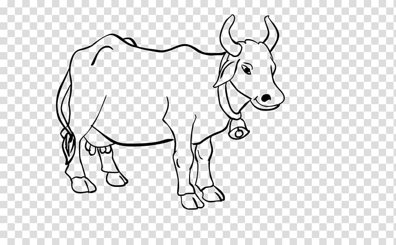 water buffalo illustration, Cattle Line art Drawing Cartoon, cow transparent background PNG clipart