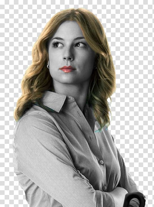 Emily VanCamp Sharon Carter Captain America: Civil War Peggy Carter, captain america transparent background PNG clipart