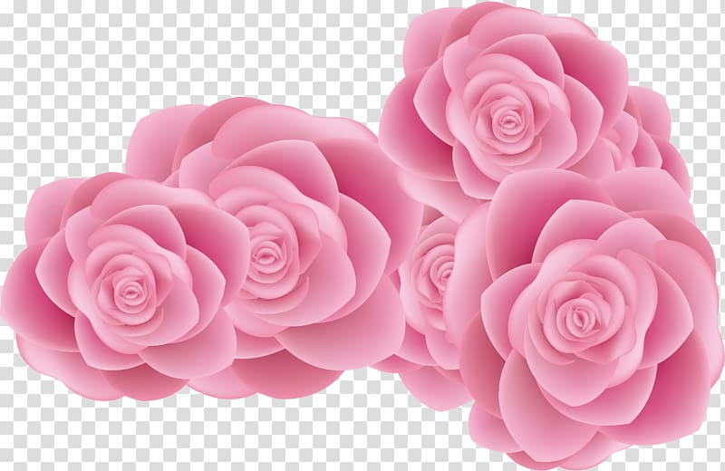 Garden roses Centifolia roses Beach rose Sea Euclidean , Beautiful roses creative sea transparent background PNG clipart