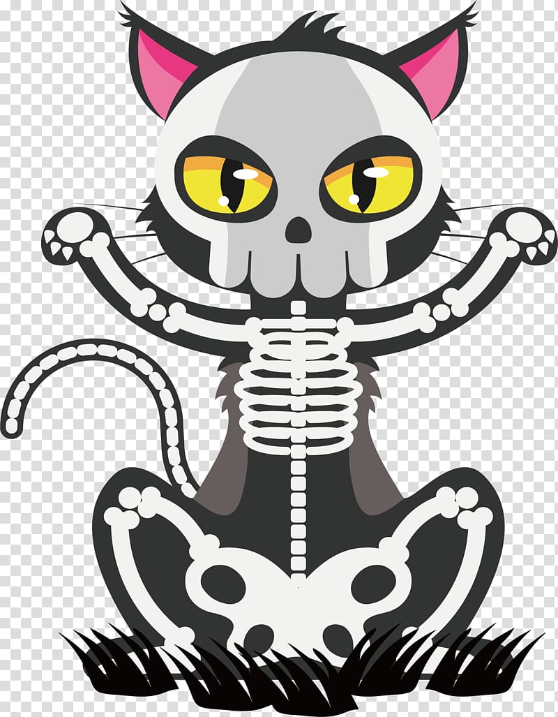 cat illustration, Cat Skeleton Skull Euclidean , Black skeleton cat transparent background PNG clipart