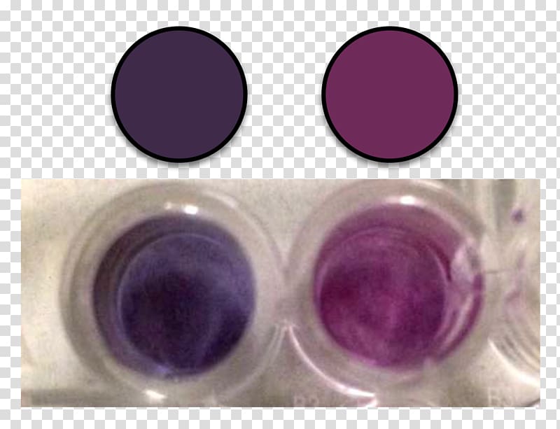 Purple Colloidal gold Color Solution Nanoparticle, purple transparent background PNG clipart