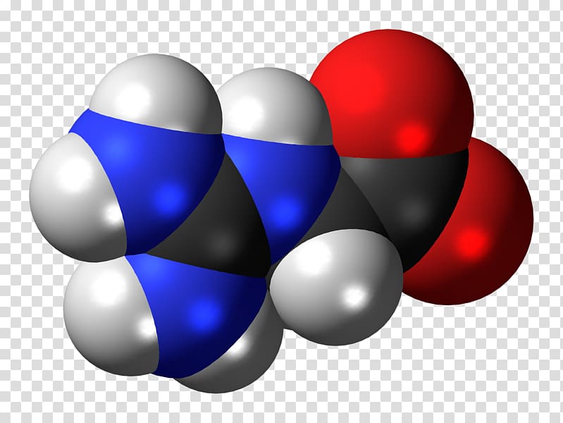 Glycocyamine Succinic acid gamma-Aminobutyric acid Amino acid, precursor version transparent background PNG clipart