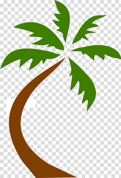 Palm trees Coconut, palm leaves transparent background PNG clipart