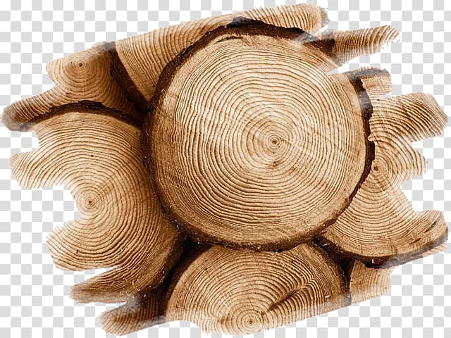 Wood Teak Tree Swarf Construction en bois, wood transparent background PNG clipart