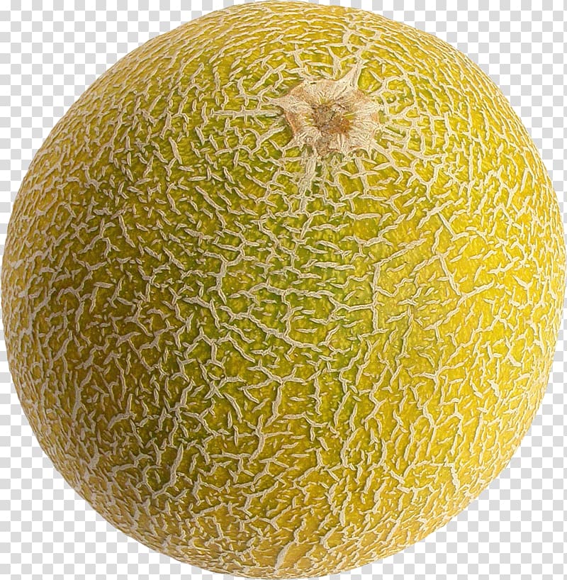 Hami melon Fruit , Melon transparent background PNG clipart