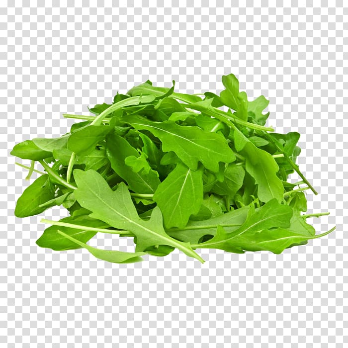 Arugula Vegetable Salad Spinach Organic food, vegetable transparent background PNG clipart