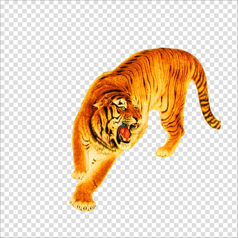 Tiger Lion Cat Leopard, tiger transparent background PNG clipart