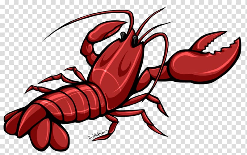 Dungeness crab Lobster Crayfish , lobster transparent background PNG clipart